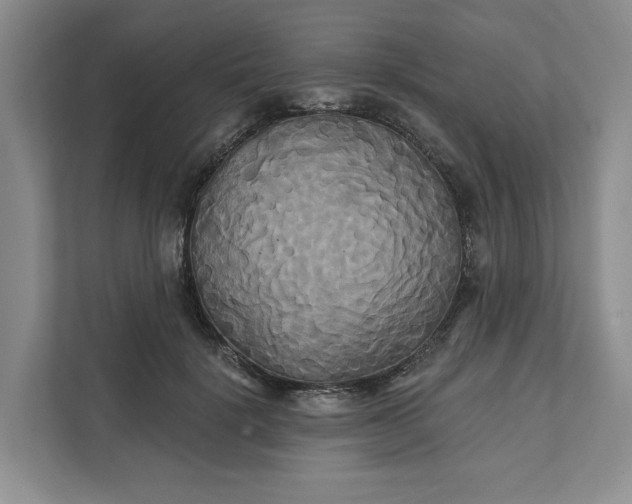 X0000111820652200908061136