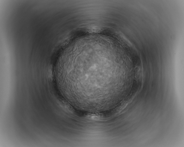 X0000111820655200908061136