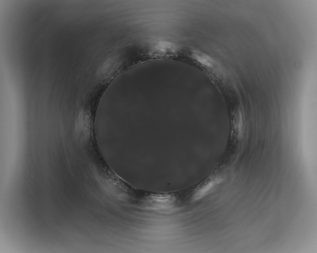 X0000111820659200908061136