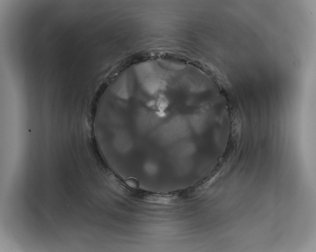 X0000111820661200908061136