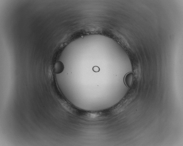 X0000111820662200908061136