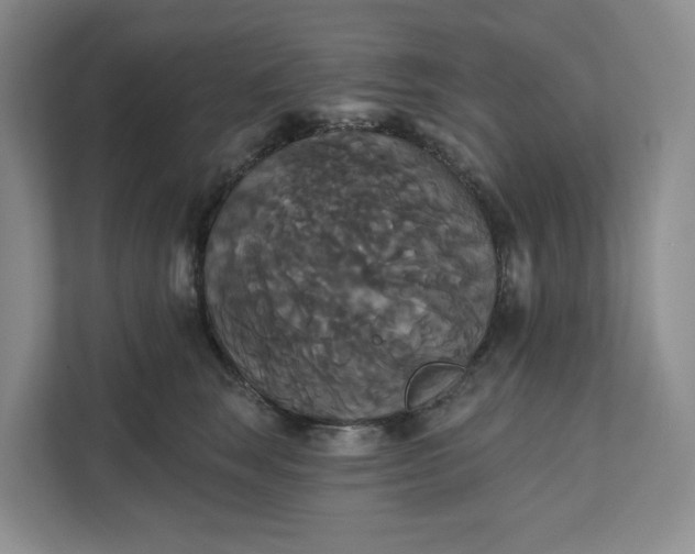 X0000111820663200908061136