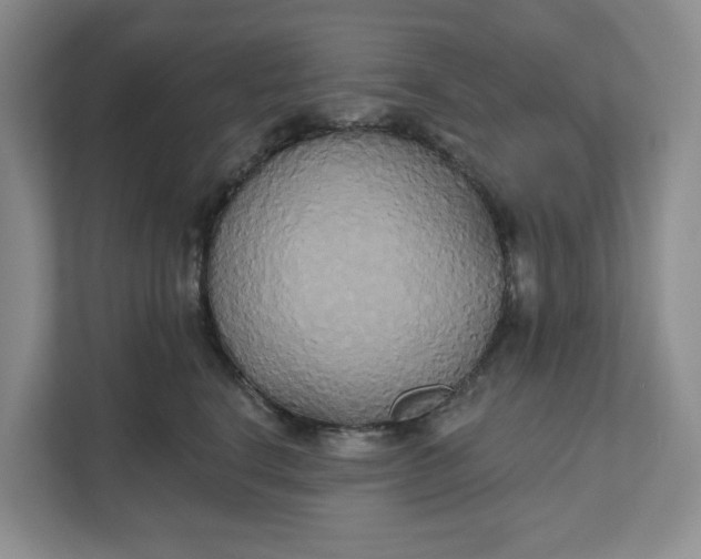 X0000111820664200908061136