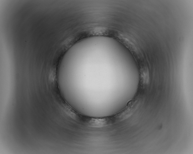 X0000111820665200908061136