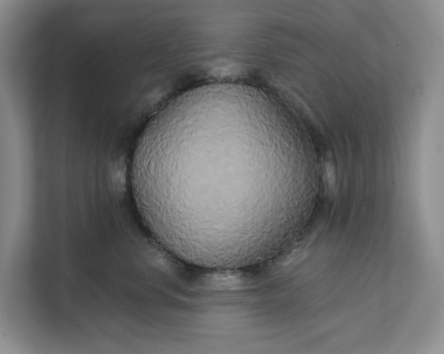 X0000111820668200908061136