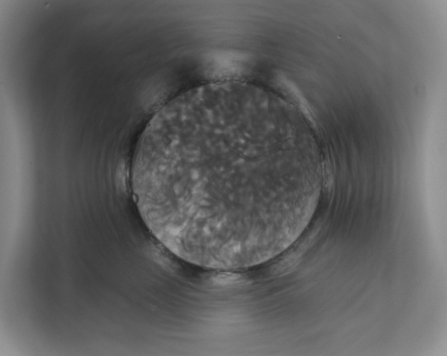 X0000111820669200908061136