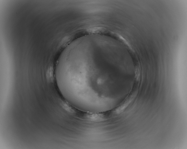 X0000111820670200908061136