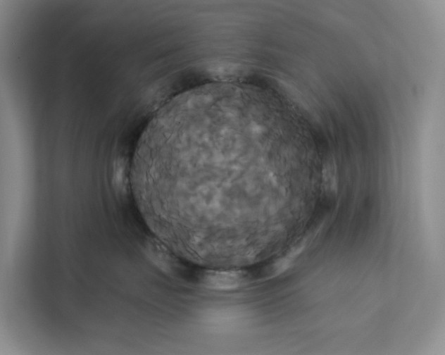 X0000111820671200908061136