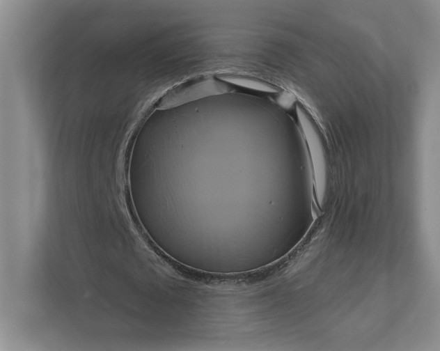 X0000111820673200908061136