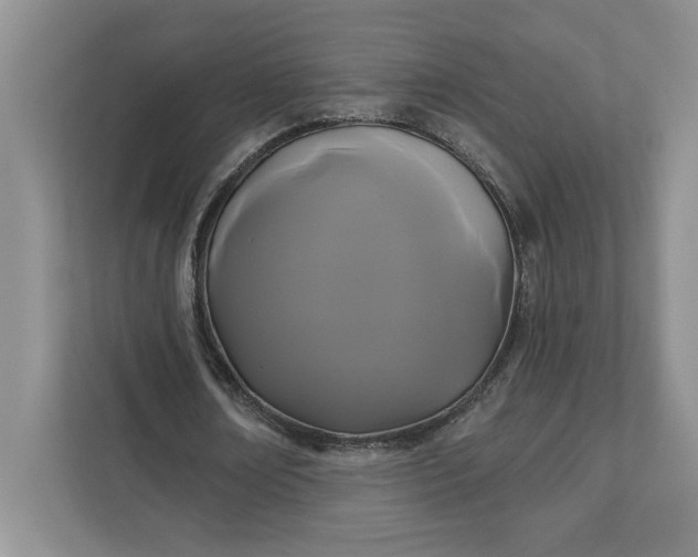 X0000111820674200908061136