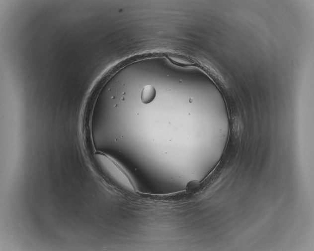 X0000111820676200908061136