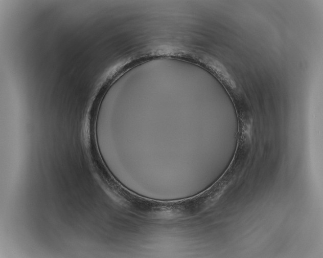 X0000111820678200908061136