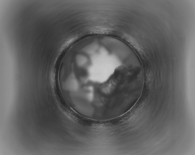 X0000111820679200908061136