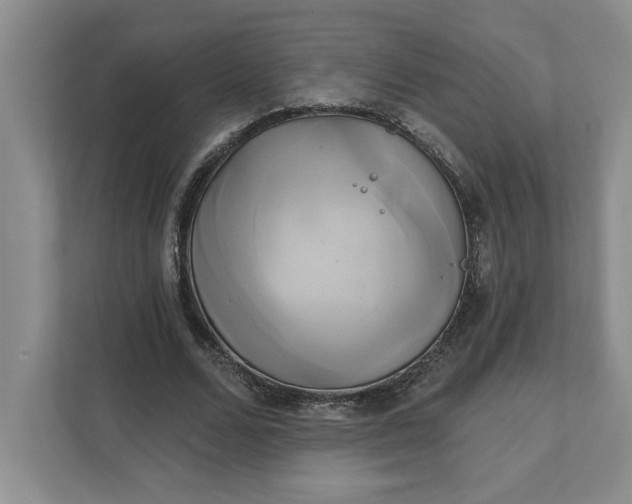 X0000111820680200908061136