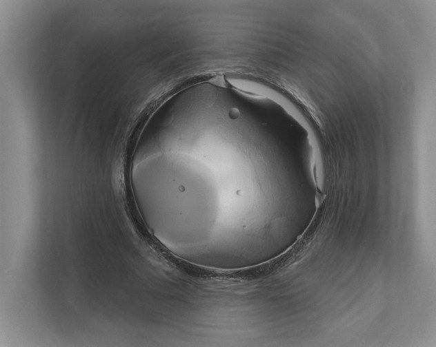 X0000111820681200908061136