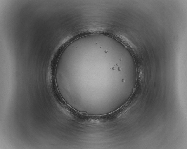 X0000111820684200908061136