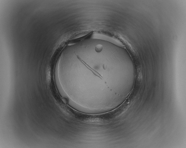 X0000111820685200908061136