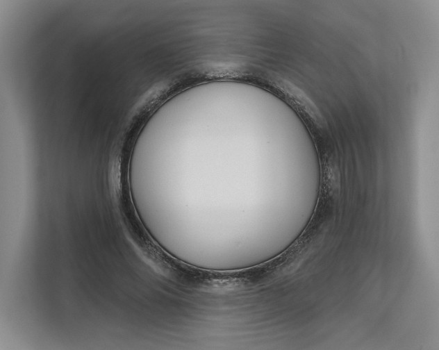 X0000111820686200908061136