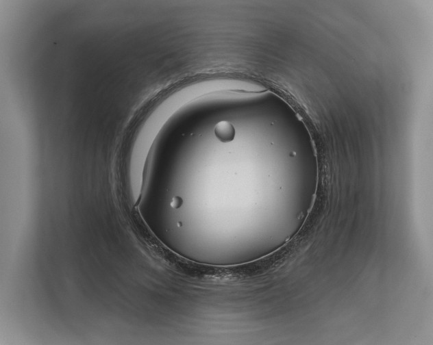 X0000111820688200908061136