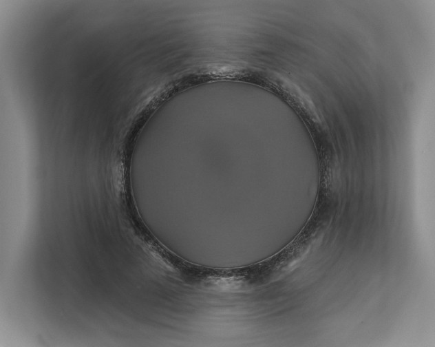 X0000111820689200908061136