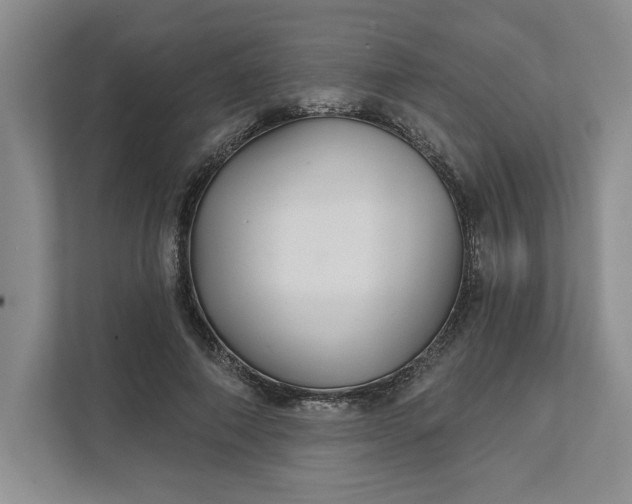 X0000111820690200908061136