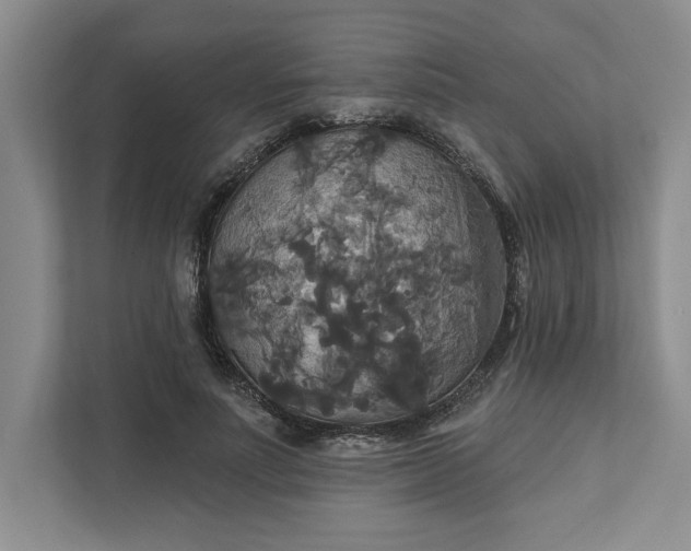 X0000111820691200908061136