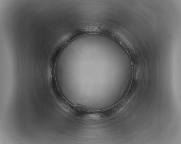 X0000111820692200908061136