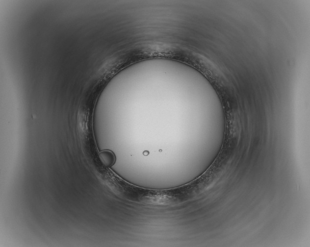 X0000111820695200908061136