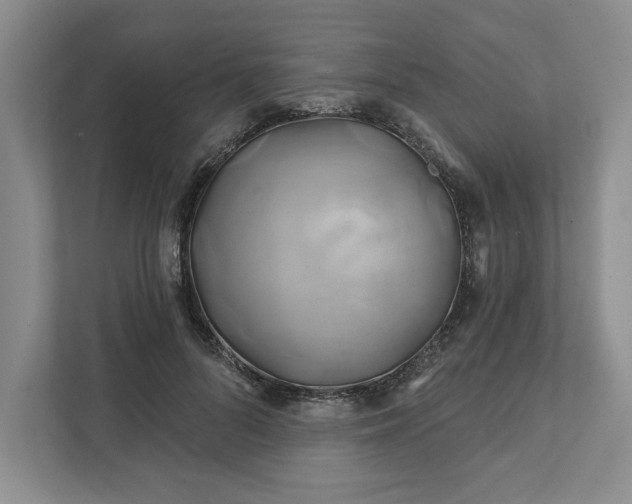 X0000111820696200908061136