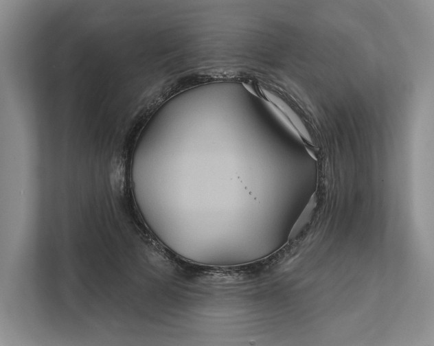 X0000111820697200908061136