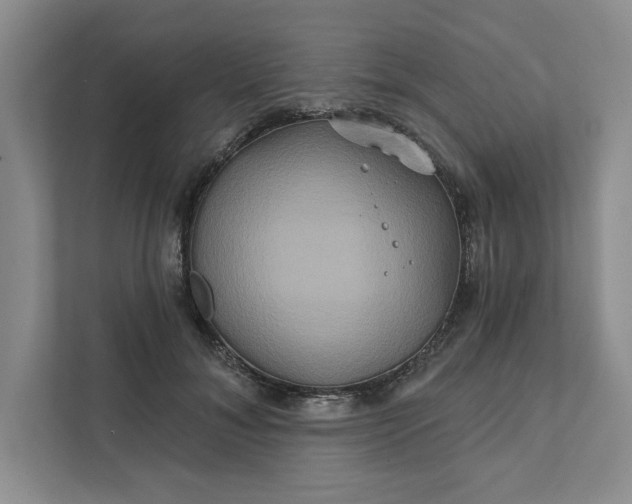 X0000111820700200908061136