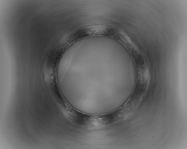 X0000111820701200908061136