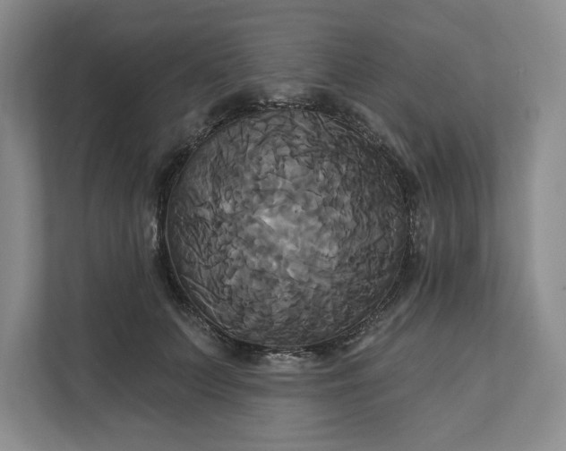 X0000111820703200908061135