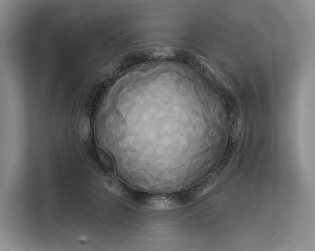 X0000111820704200908061135