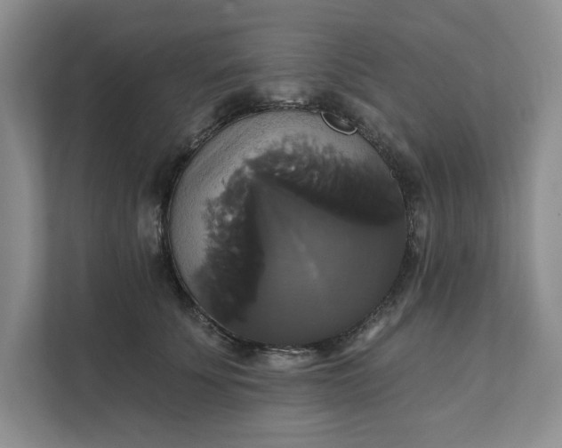 X0000111820707200908061135