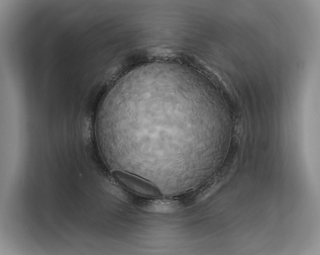 X0000111820708200908061135