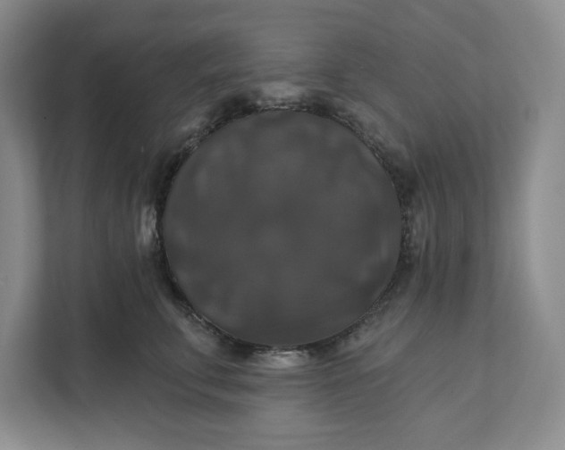 X0000111820711200908061135