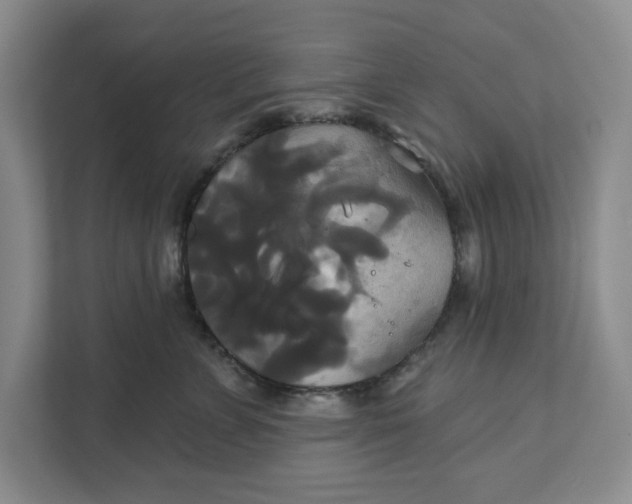 X0000111820715200908061135