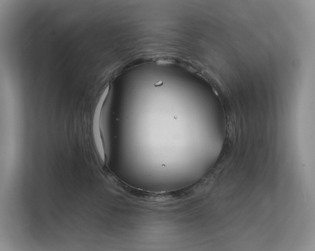 X0000111820716200908061135