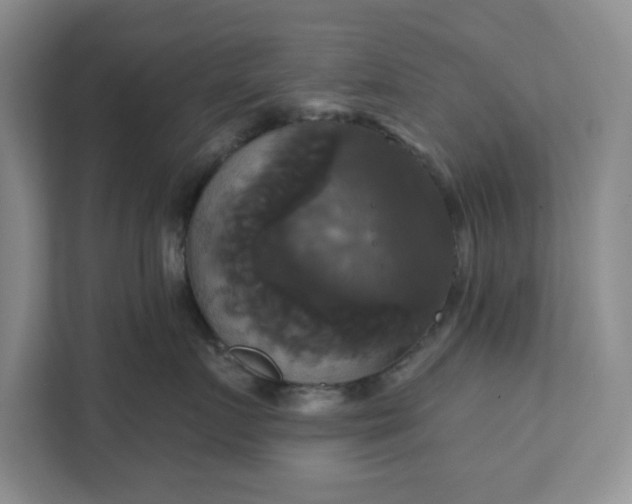 X0000111820719200908061135