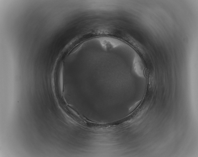 X0000111820722200908061135