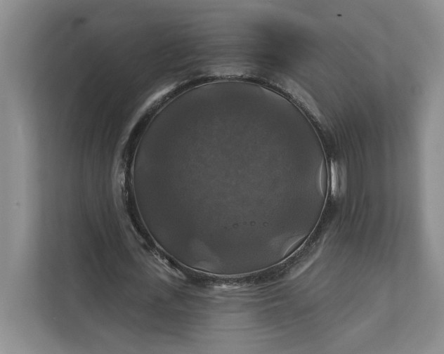 X0000111820723200908061135