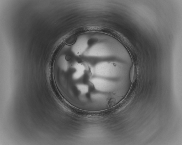 X0000111820725200908061135