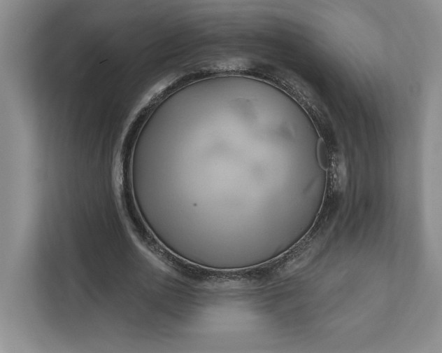 X0000111820726200908061135