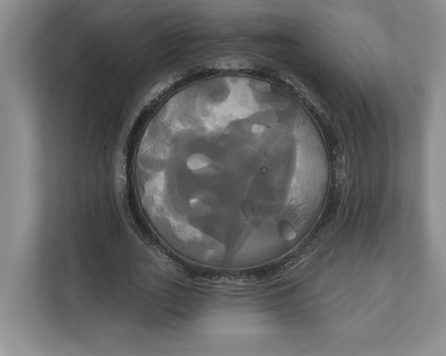 X0000111820727200908061135