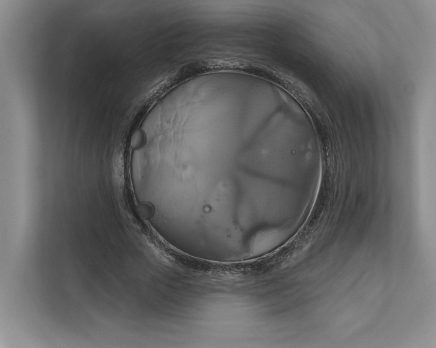 X0000111820729200908061135