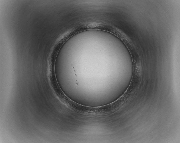 X0000111820732200908061135