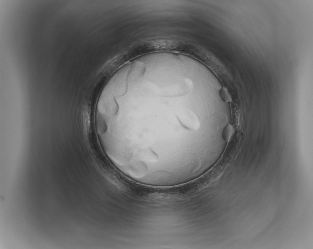 X0000111820733200908061135