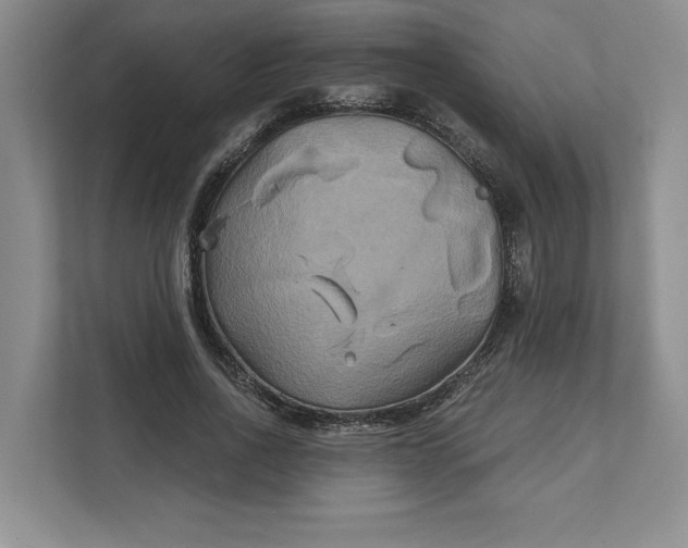 X0000111820734200908061135