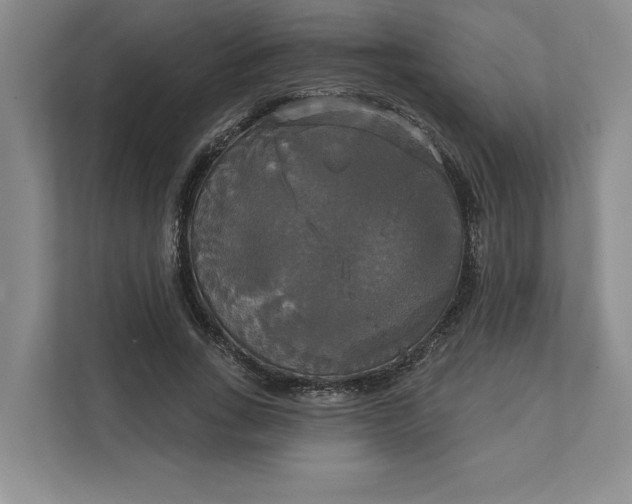 X0000111820735200908061135